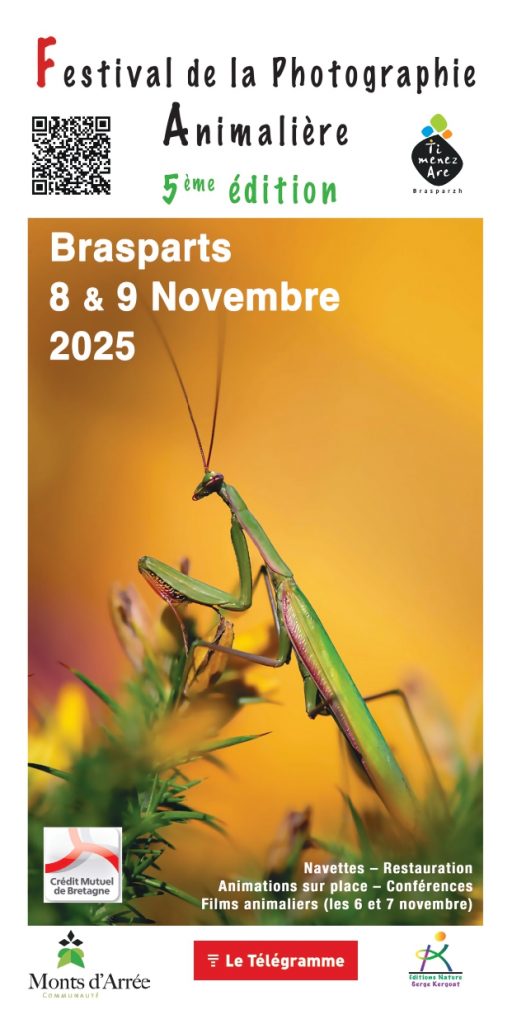affiche-festival_page-0001-512x1024.jpg