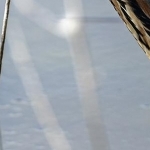 H67A7650.jpg Cendré attentif