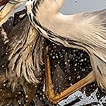 IMG_3280